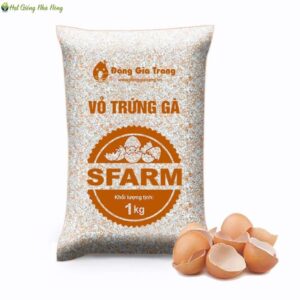 Vỏ Trứng Gà Đã Qua Xử Lý